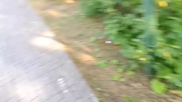 Вот чем я занимаюсь когда не снимаю игры смотреть онлайн