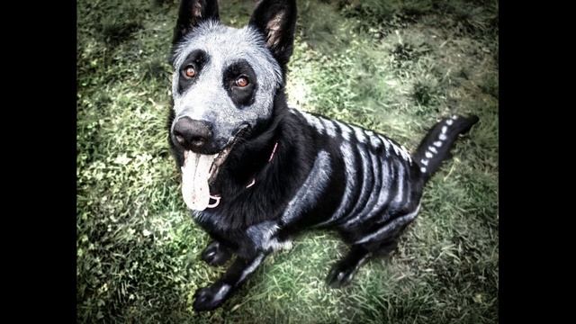 Душевные сказки. Александр "Котобус" Горбов - Желтый том - Пятничные рассказявки. Часть 1 смотреть онлайн