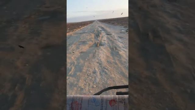 Дальнобой Туркмении смотреть онлайн
