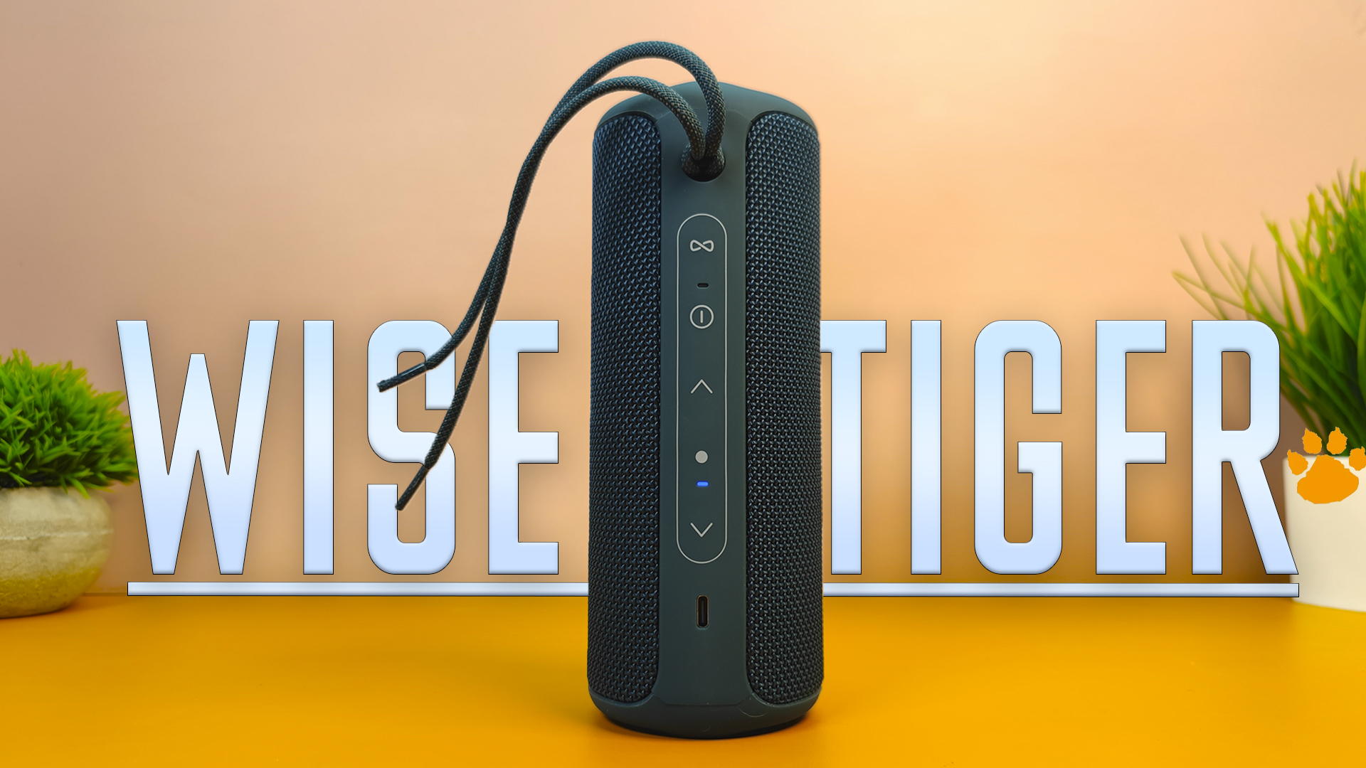 Очередная Убийца JBL за 4000 рублей! Обзор 30Вт Беспроводной КОЛОНКИ WISETIGER P3 с АлиЭкспресс . смотреть онлайн