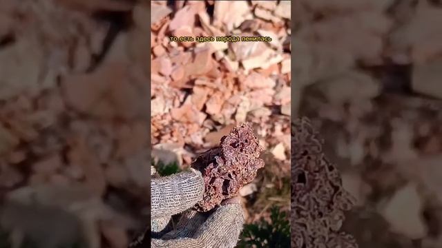 Что это за КАМЕНЬ? НЕвулканическая пемза #геология #горелыйсланец #окаменелости смотреть онлайн