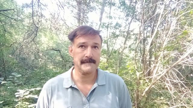 Не будьте пешками на чужой доске. смотреть онлайн
