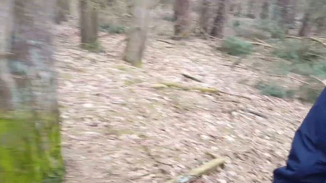 VLOG13 Грилем мясо, ты не немец если у тебя нету елки, проснулись ли пчелы ? смотреть онлайн