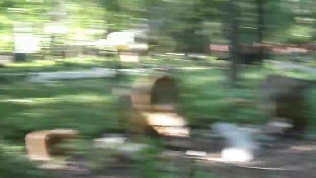 Дино парк. Ульяновск смотреть онлайн