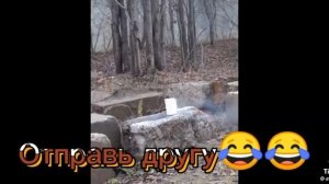 когда сломался телик когда мобильник  сдох компьютер еле еле  а чайник  глох  заглох