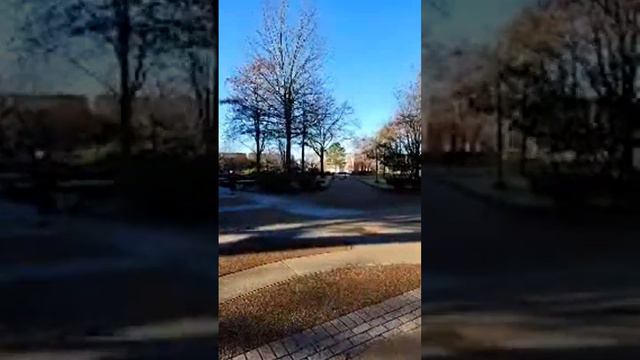  Жизнь  в американской глубинке