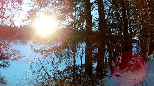 Утро в Лесном доме. Проба звука. Жизнь в деревне. смотреть онлайн