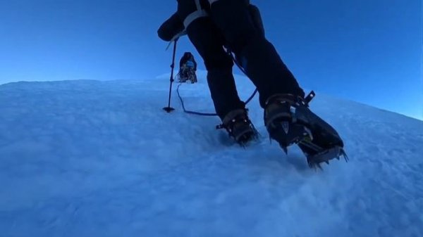 Обзор кошек Simond caiman. С вершины Казбека на Монблан