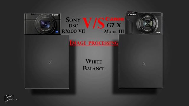 Sony DSC RX100 VII vs Canon G7 X Mark III смотреть онлайн