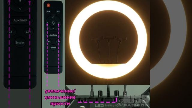 Кольцевая светодиодная лампа RL-21 с напольным усиленным штативом. смотреть онлайн