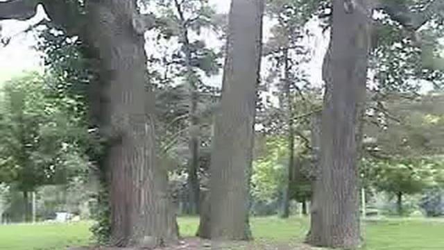 Bite Out of Life смотреть онлайн