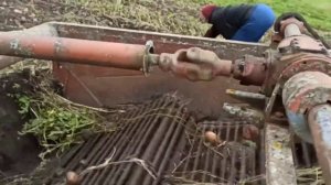 #3Сезонное тех. обслуживание картофелекопалки КСТ-1. 4 привела к её модернизации⚡Подписывайтесь ✍️