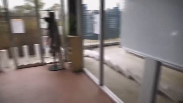 Самое длинное домино в мире! смотреть онлайн