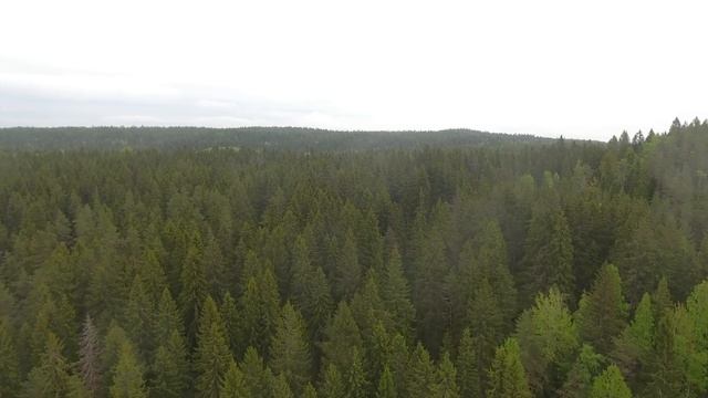 Берег у леса - ладожские шхеры, май 2019 смотреть онлайн