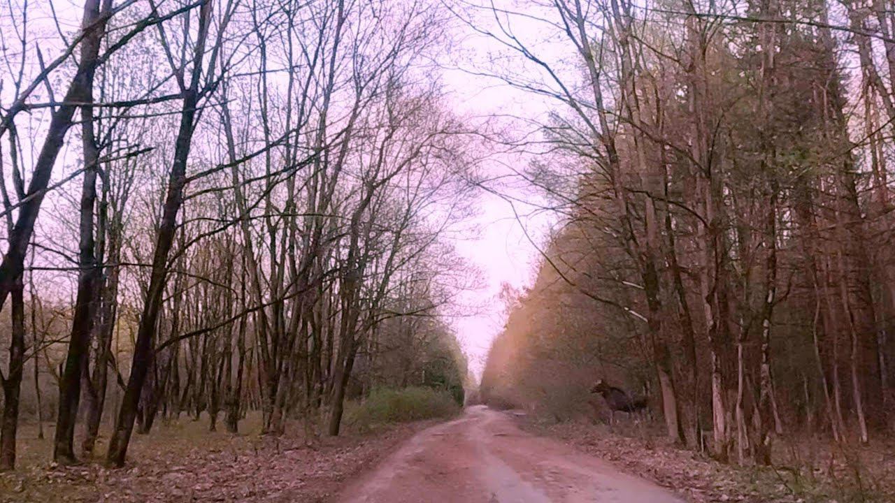 Лосяш смотреть онлайн