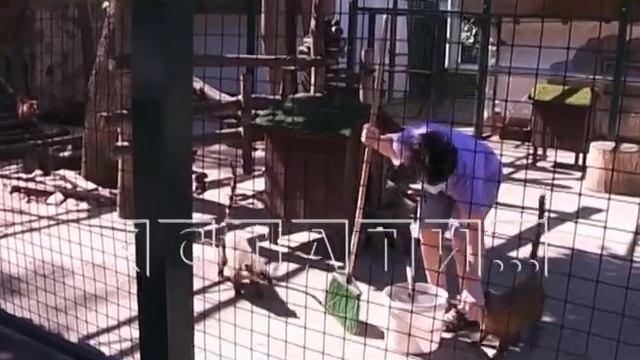 Нижегородские музеи после пандемии возвращаются к жизни смотреть онлайн