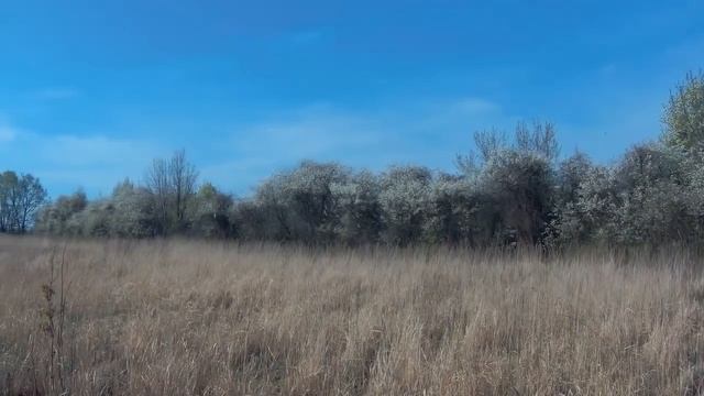 ПРАЗДНИК ТРУДА В ДЕРЕВНЕ ИЛИ КАК МЫ САЖАЛИ КАРТОФЕЛЬ смотреть онлайн