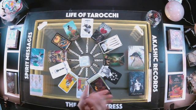 Self Mastery and Magical Manifestations - Little Penguin Collective Tarot Reading смотреть онлайн