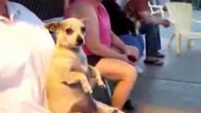 Маленький позитиффф смотреть онлайн