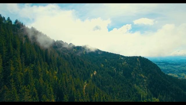 О любви к... ( стихотворение автор Леонид Горштейн ) смотреть онлайн