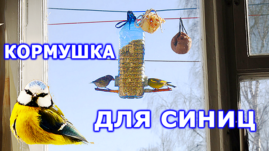 Кормушка для синиц с защитой от голубей. #синичник смотреть онлайн