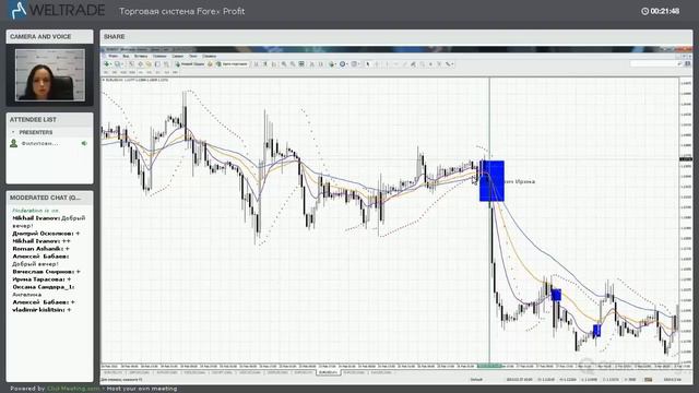 Торговая система Forex Profit