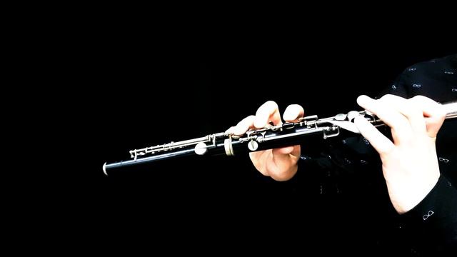 Carl Reinecke:Flute Concerto op.283, Schwedlerflute and Piano смотреть онлайн