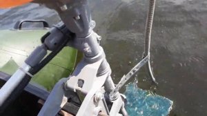 Лайтовый обзор пвх лодки и мотора из бензокосы на 3,5 л.с.