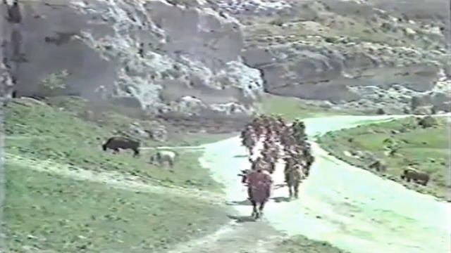 Ali Baba Ve Kırk Haramiler - Kasım Kasım Asmak Lazım , Kasım Kasım Kesmek Lazım