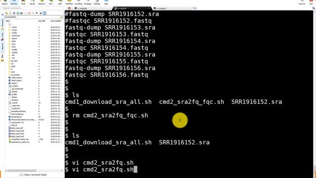 从零开始学之Linux, Perl and R-第一讲 смотреть онлайн