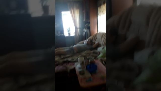 В браво Старс капютар это я скачать бесплатно игры играть смотреть онлайн