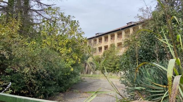 Сочи ноября 2023 г. Санаторий Орджоникидзе закрыт для туристов. смотреть онлайн