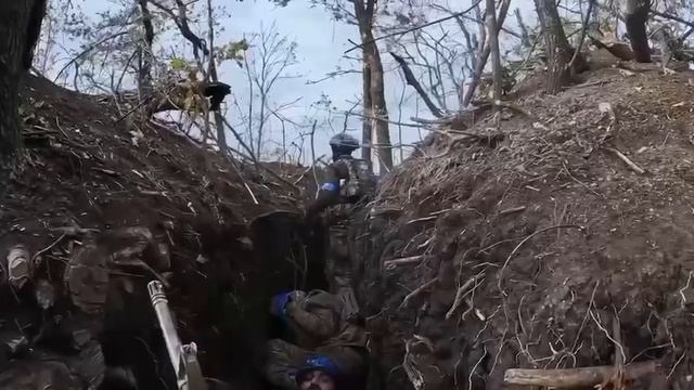 Похоже баба в всу командиром смотреть онлайн