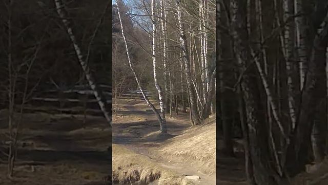 Весна. Снег и бабочка смотреть онлайн