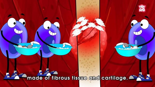 How Bone Fractures Heal? | How Does a Broken Bone Heal? | Process of Bone Healing | Dr. Binocs Show смотреть онлайн