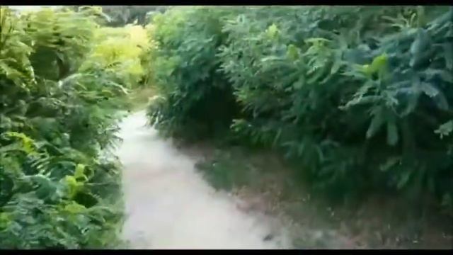 Пусти дурака в райский сад, он ногти из листочков будет делать смотреть онлайн