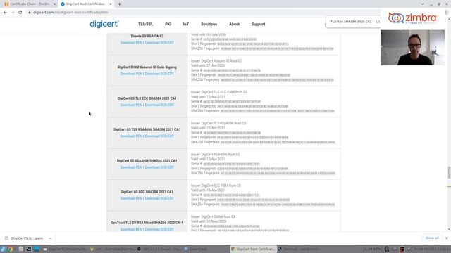 How to create the certificate chain when deploying TLS certificates on Zimbra смотреть онлайн