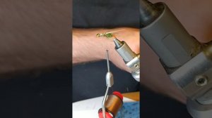 Личинка Веснянки, переколомина, stonefly nymph. Даббинг