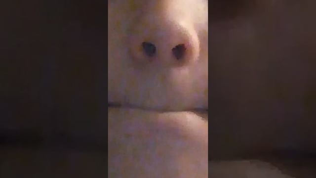 да это жизнь моя поверь 😎какой контент нравится ? смотреть онлайн