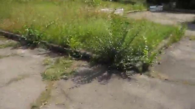 Я НА СЛАВКУРОРТЕ !!! АРОМАТНЫЕ РОЗЫ И МОЙ НОВЫЙ ВЕЛОСИПЕД АИСТ !!! смотреть онлайн