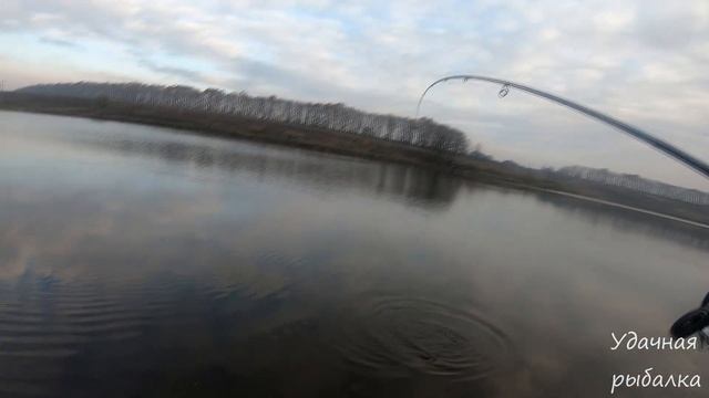Щука с каждого заброса! Жор щуки, рыбалка 2020 с. Горбатовка, группа ЛРДО. Часть 1 смотреть онлайн