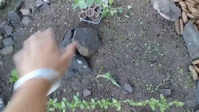 Создание клумбы Шаг за шагом Примеры оформления клумб Ландшафтный дизайн Мій сад смотреть онлайн