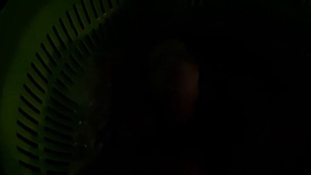 По 12 крольчат у самок Хиколь l КРОЛИКИ l Час после рождения смотреть онлайн