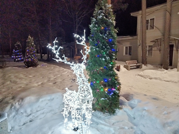 НОВЫЙ ГОД ! УКРАШЕНИЕ УЧАСТКА смотреть онлайн