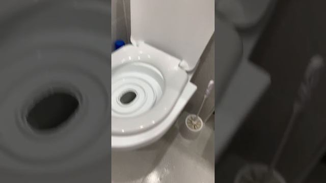 Как приучить кота к унитазу. Часть 4. С первым отверстием, Лео! смотреть онлайн