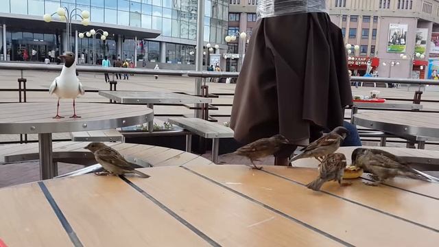Завтрак в McDonalds в Н.Новгороде. смотреть онлайн