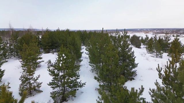 зимний отдых с детьми смотреть онлайн