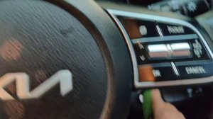 key problem in kia seltos