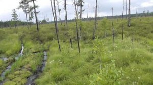 УАЗ на шинах низкого давления (самодельный)