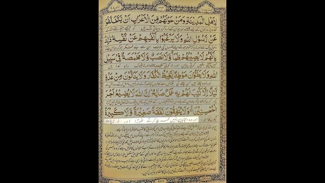 Zia ul Quran Episode 186, Para 11 Ruku 4, Surah At Toba Ayyah 119 to 122 смотреть онлайн
